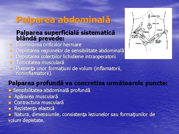 Palparea abdominală • • • Palparea superficială sistematică blândă prevede: Examinarea orificiilor herniare Depistarea