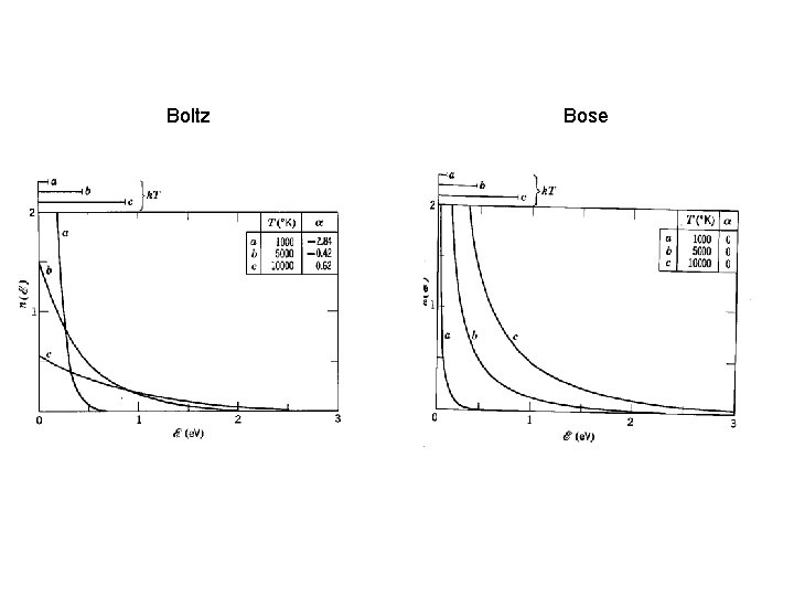 Boltz Bose 