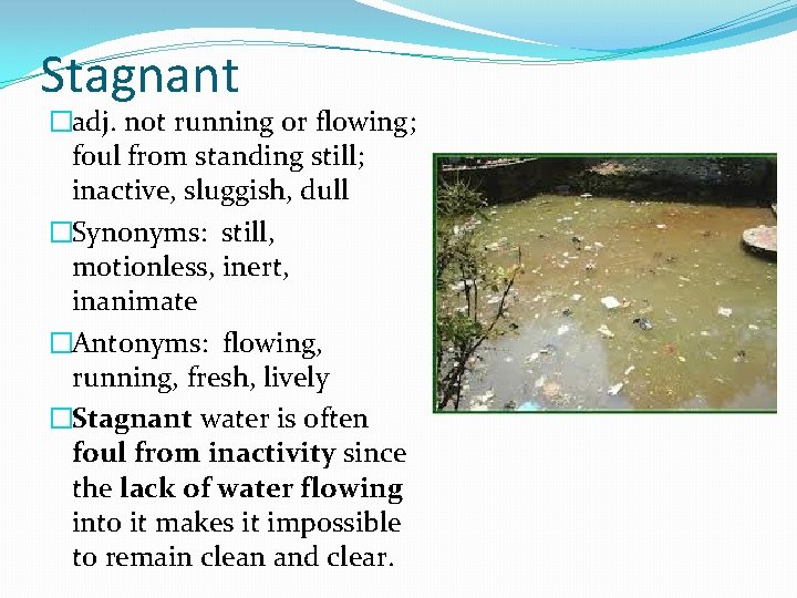 Stagnant �adj. not running or flowing; foul from standing still; inactive, sluggish, dull �Synonyms: