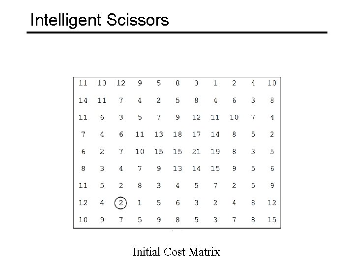 Intelligent Scissors Initial Cost Matrix 