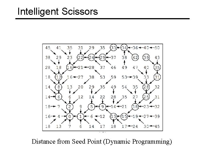 Intelligent Scissors Distance from Seed Point (Dynamic Programming) 