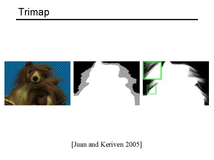 Trimap [Juan and Keriven 2005] 