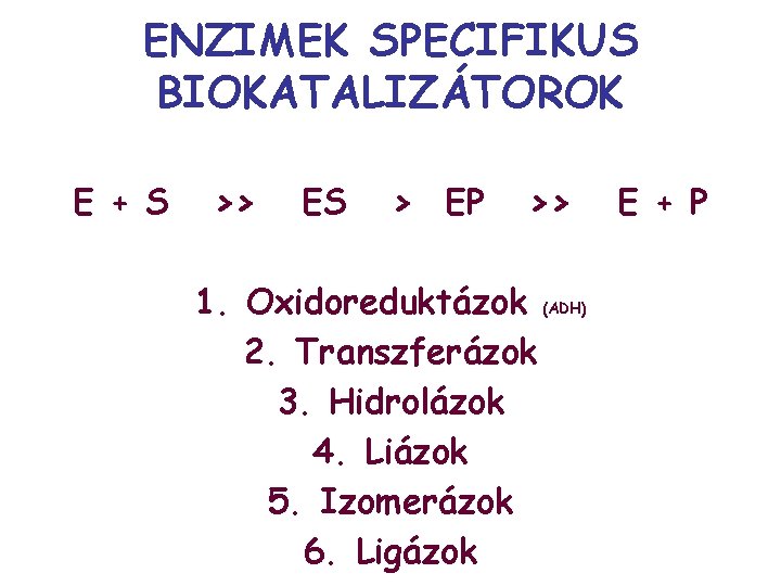 ENZIMEK SPECIFIKUS BIOKATALIZÁTOROK E + S >> ES > EP >> 1. Oxidoreduktázok (ADH)