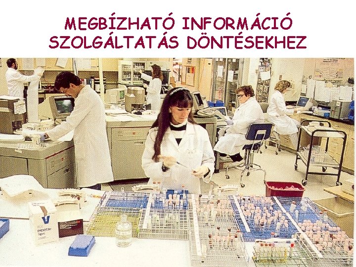 MEGBÍZHATÓ INFORMÁCIÓ SZOLGÁLTATÁS DÖNTÉSEKHEZ 