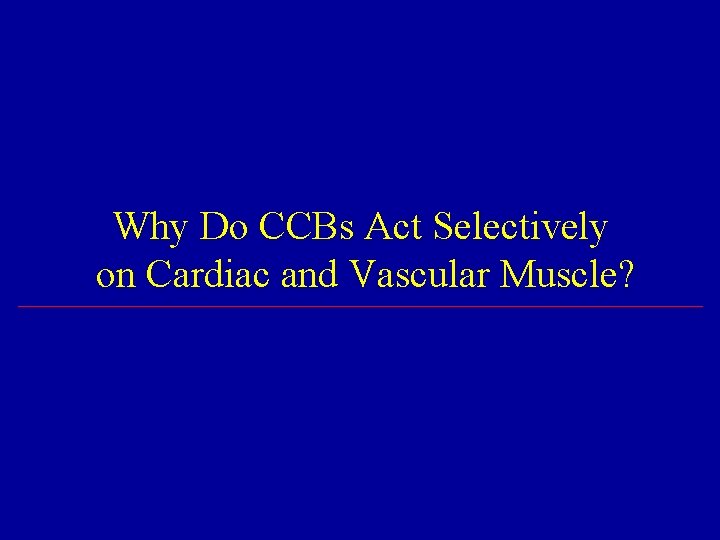 Why Do CCBs Act Selectively on Cardiac and Vascular Muscle? 