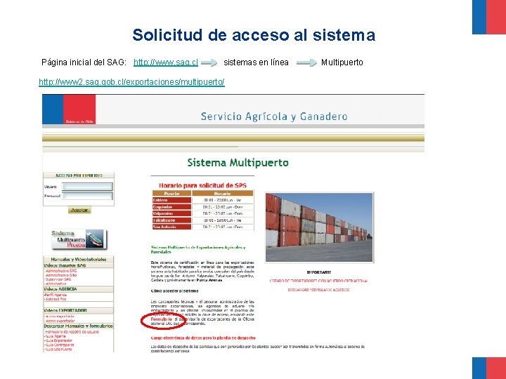 Solicitud de acceso al sistema Página inicial del SAG: http: //www. sag. cl sistemas