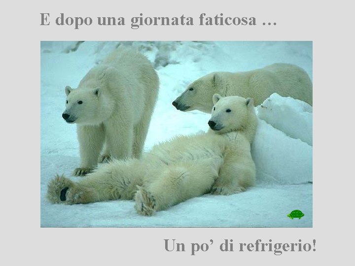 E dopo una giornata faticosa … Un po’ di refrigerio! 