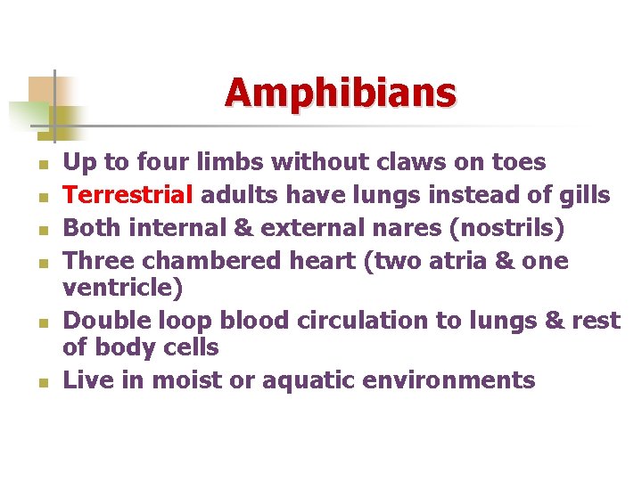 Amphibians n n n Up to four limbs without claws on toes Terrestrial adults