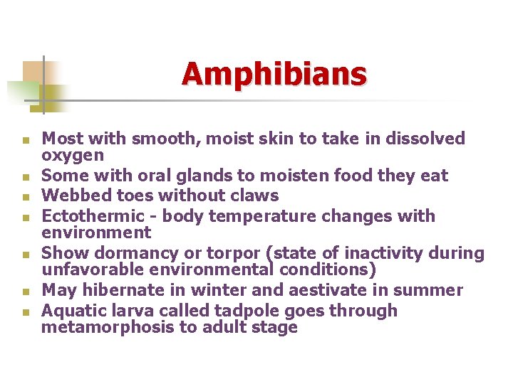 Amphibians n n n n Most with smooth, moist skin to take in dissolved