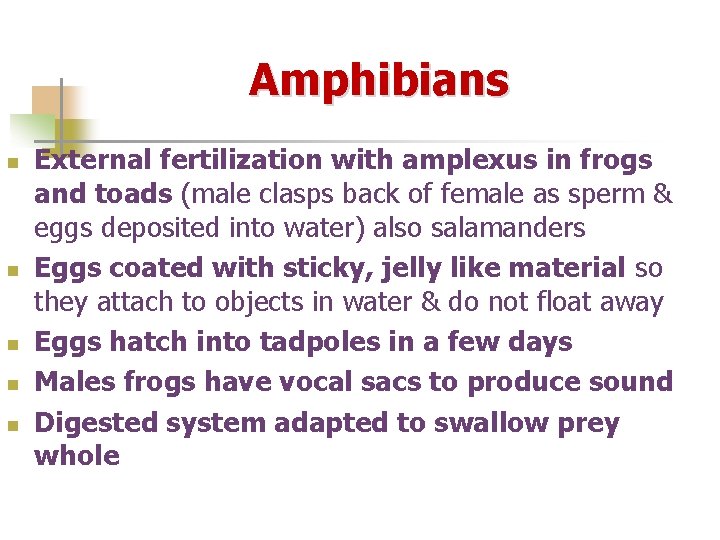 Amphibians n n n External fertilization with amplexus in frogs and toads (male clasps