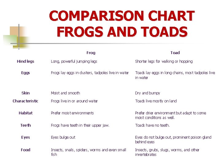 COMPARISON CHART FROGS AND TOADS Frog Hind legs Toad Long, powerful jumping legs Shorter