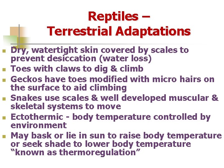 Reptiles – Terrestrial Adaptations n n n Dry, watertight skin covered by scales to