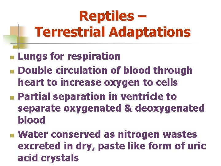 Reptiles – Terrestrial Adaptations n n Lungs for respiration Double circulation of blood through