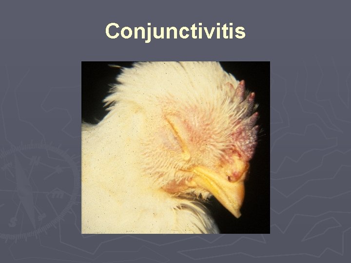 Conjunctivitis 