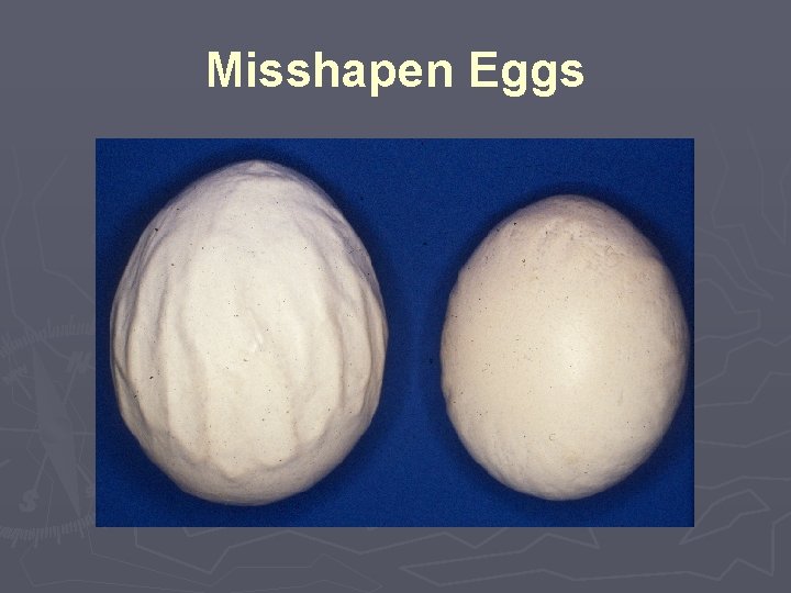 Misshapen Eggs 