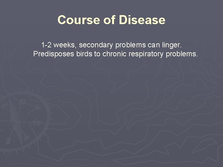 Course of Disease 1 -2 weeks, secondary problems can linger. Predisposes birds to chronic