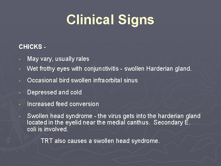 Clinical Signs CHICKS • May vary, usually rales • Wet frothy eyes with conjunctivitis