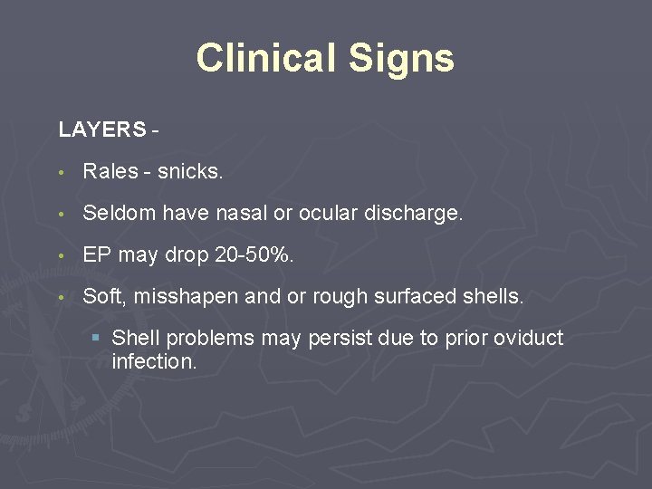 Clinical Signs LAYERS • Rales - snicks. • Seldom have nasal or ocular discharge.