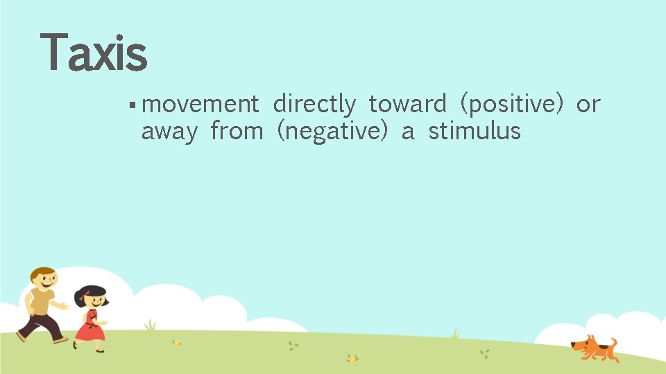 Taxis § movement directly toward (positive) or away from (negative) a stimulus 