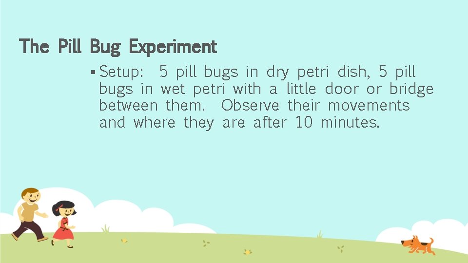 The Pill Bug Experiment § Setup: 5 pill bugs in dry petri dish, 5