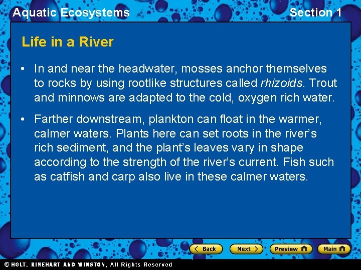 Aquatic Ecosystems Section 1 Life in a River • In and near the headwater,