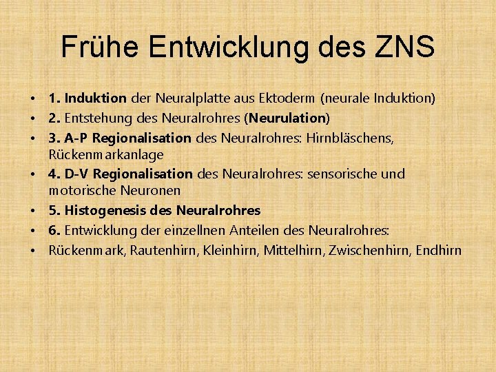 Frühe Entwicklung des ZNS • 1. Induktion der Neuralplatte aus Ektoderm (neurale Induktion) •