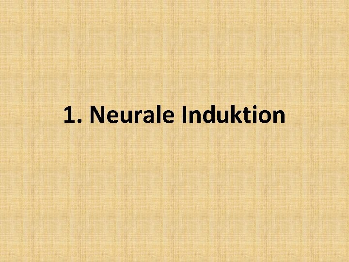1. Neurale Induktion 