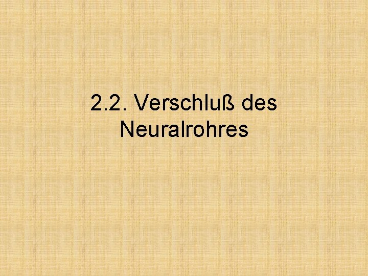 2. 2. Verschluß des Neuralrohres 