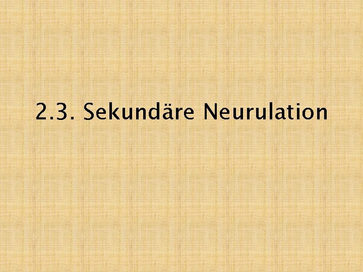 2. 3. Sekundäre Neurulation 