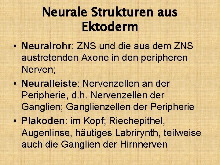 Neurale Strukturen aus Ektoderm • Neuralrohr: ZNS und die aus dem ZNS austretenden Axone