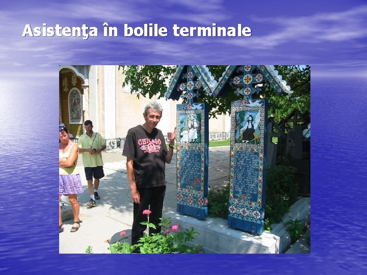 Asistenţa în bolile terminale 