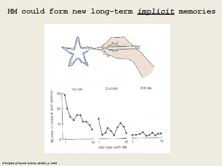 HM could form new long-term implicit memories Principles of Neural Science, Kandel, p. 1446
