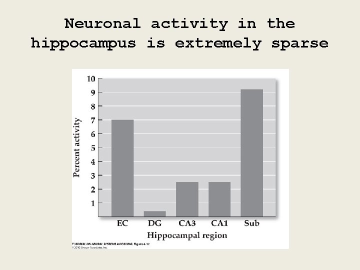 Neuronal activity in the hippocampus is extremely sparse 