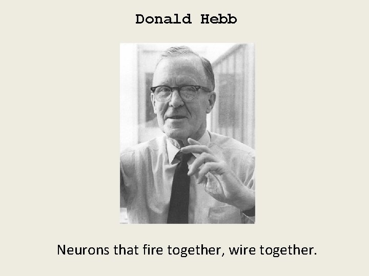 Donald Hebb Neurons that fire together, wire together. 