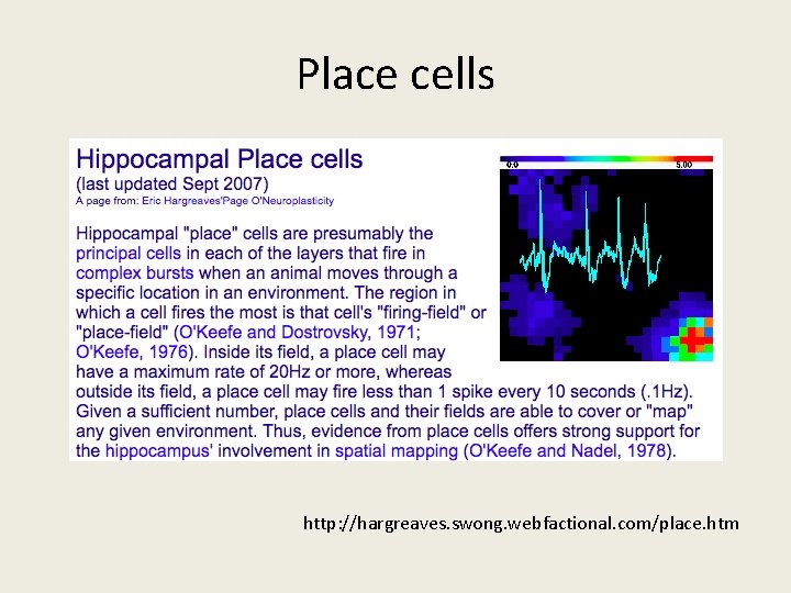 Place cells http: //hargreaves. swong. webfactional. com/place. htm 