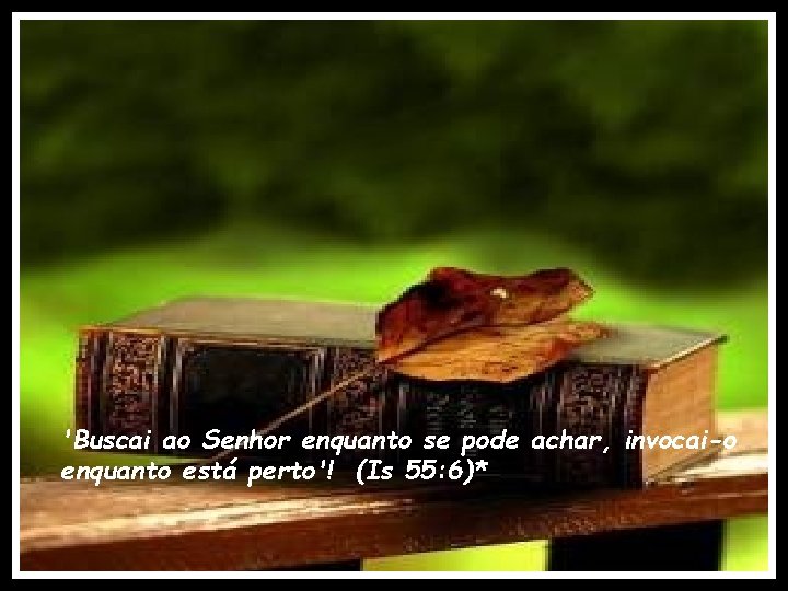 'Buscai ao Senhor enquanto se pode achar, invocai-o enquanto está perto'! (Is 55: 6)*