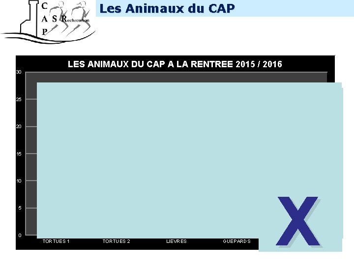 Les Animaux du CAP INTERNE LES ANIMAUX DU CAP A LA RENTREE 2015 /