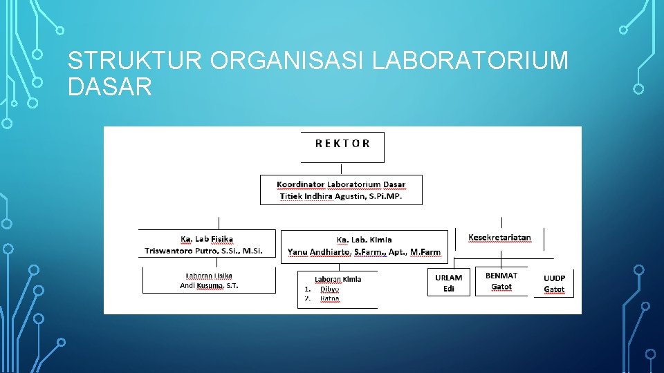 STRUKTUR ORGANISASI LABORATORIUM DASAR 