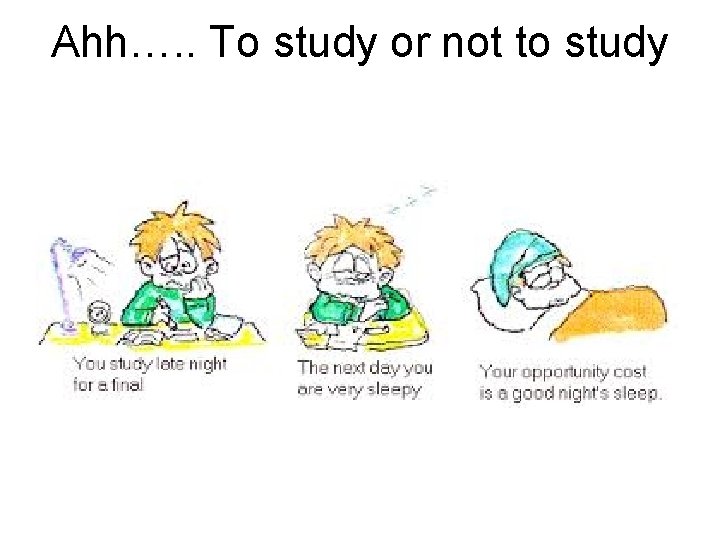 Ahh…. . To study or not to study 