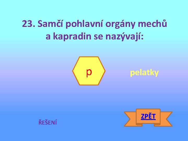 23. Samčí pohlavní orgány mechů a kapradin se nazývají: p ŘEŠENÍ pelatky ZPĚT 