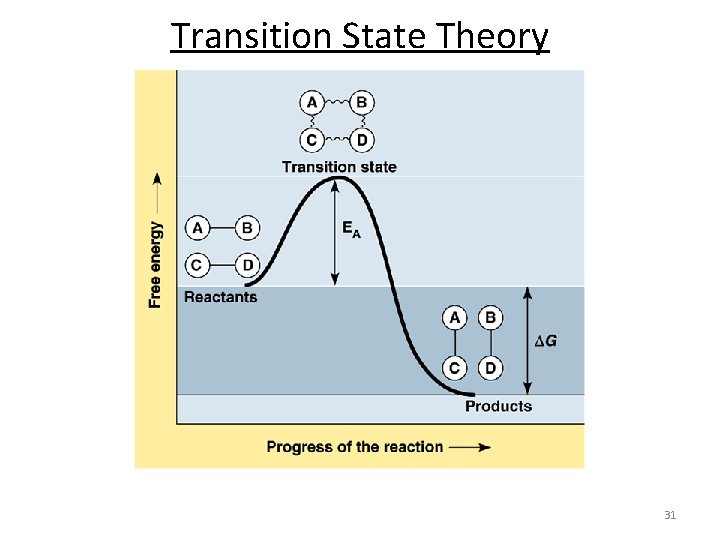 Transition State Theory 31 