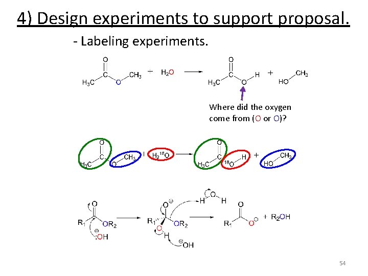 4) Design experiments to support proposal. - Labeling experiments. Where did the oxygen come