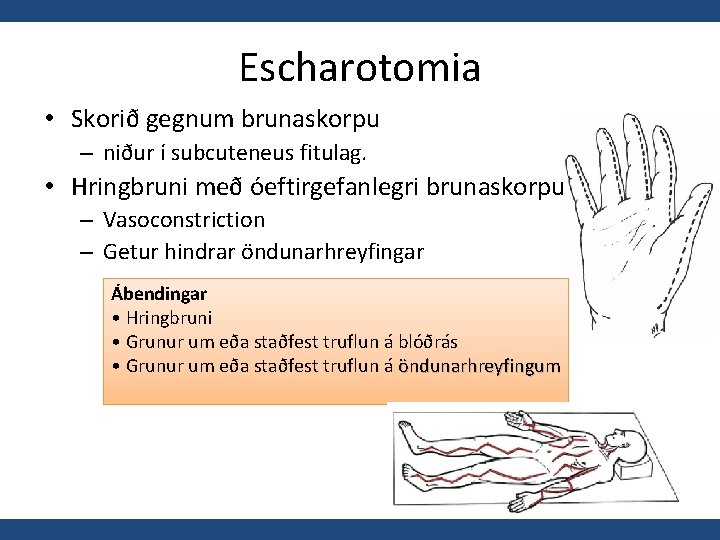 Escharotomia • Skorið gegnum brunaskorpu – niður í subcuteneus fitulag. • Hringbruni með óeftirgefanlegri