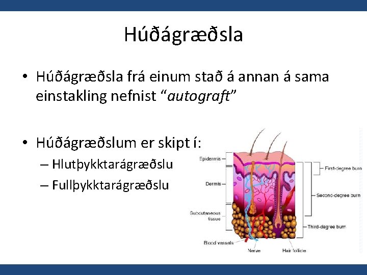 Húðágræðsla • Húðágræðsla frá einum stað á annan á sama einstakling nefnist “autograft” •