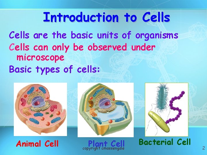 Introduction to Cells are the basic units of organisms Cells can only be observed