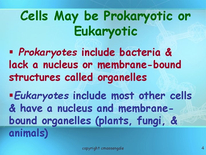 Cells May be Prokaryotic or Eukaryotic § Prokaryotes include bacteria & lack a nucleus