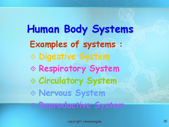 Human Body Systems Examples of systems : ´ Digestive System ´ Respiratory System ´