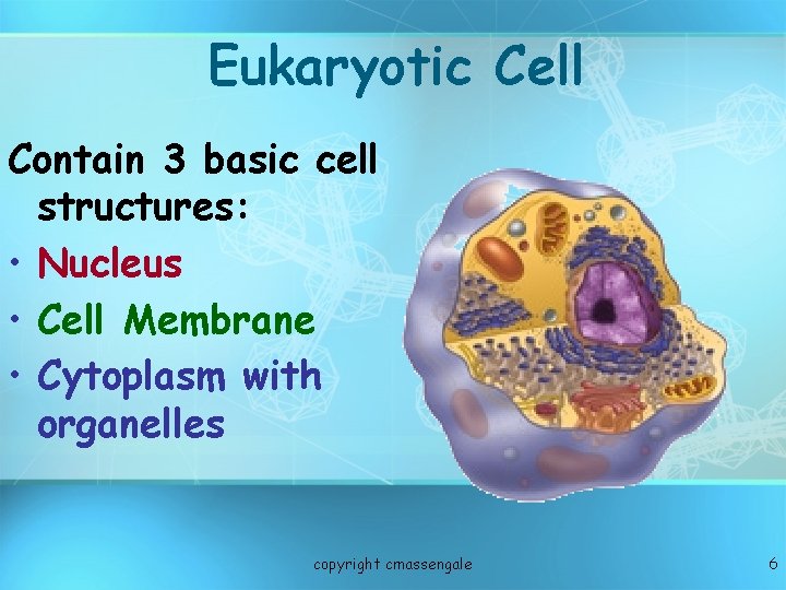 Eukaryotic Cell Contain 3 basic cell structures: • Nucleus • Cell Membrane • Cytoplasm