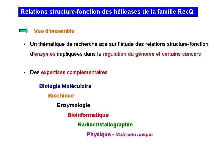 Relations structure-fonction des hélicases de la famille Rec. Q Vue d’ensemble • Un thématique