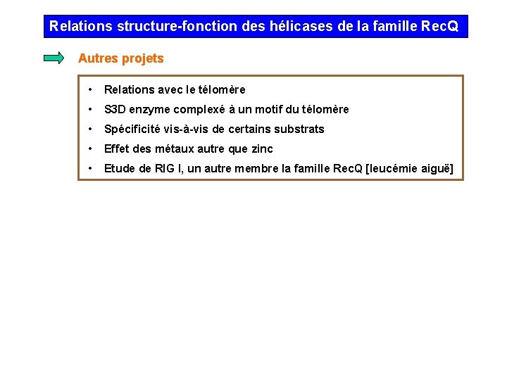 Relations structure-fonction des hélicases de la famille Rec. Q Autres projets • Relations avec